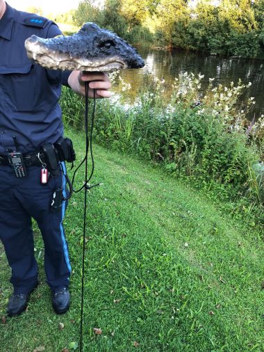 Krokodil in Weiher entpuppt sich als Attrappe am 2