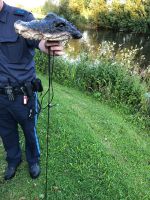 Krokodil in Weiher entpuppt sich als Attrappe am 2