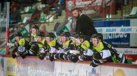 Starbulls schließen Kaderplanung vorerst ab