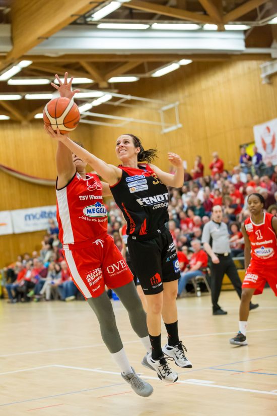Neues Trainergespann Parsons und Kollarovics