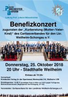 Benefizkonzert des Polizeiorchesters Bayern in Wei