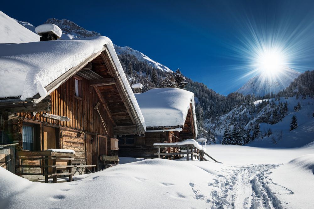 Rehkitz totgebissen