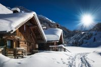 Rehkitz totgebissen