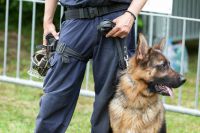 81 Jährige Dame nach Vermissung unterkühlt aufgefu
