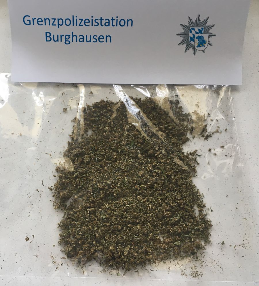 Marihuana statt Basilikum