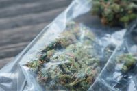 Ohne Führerschein gefahren und 220 Gramm Marihuana