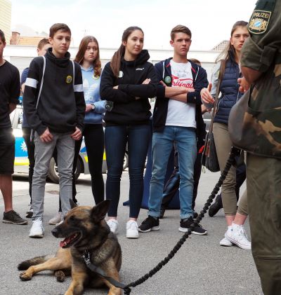 Wie wird man Polizei