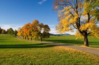 Seeon Seebruck Pkw prallt gegen Baum