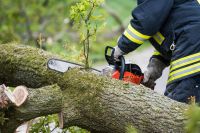 Forstunfall in Reit im Winkl