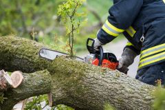Gegen umgestürzten Baum bei Burghausen gefahren