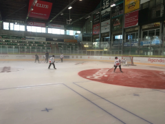 12 Starbulls Nachwuchstalente reisen zu BEV Elite 