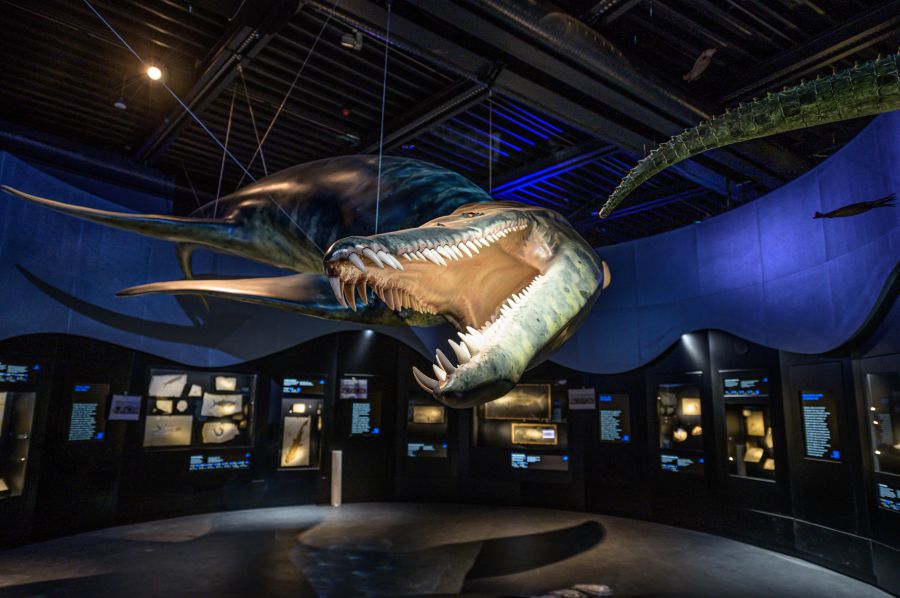 ROSENHEIM SAURIER Giganten der Meere