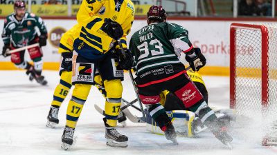 ROSENHEIM Starbulls lösen Vertrag mit Vitezslav Bi