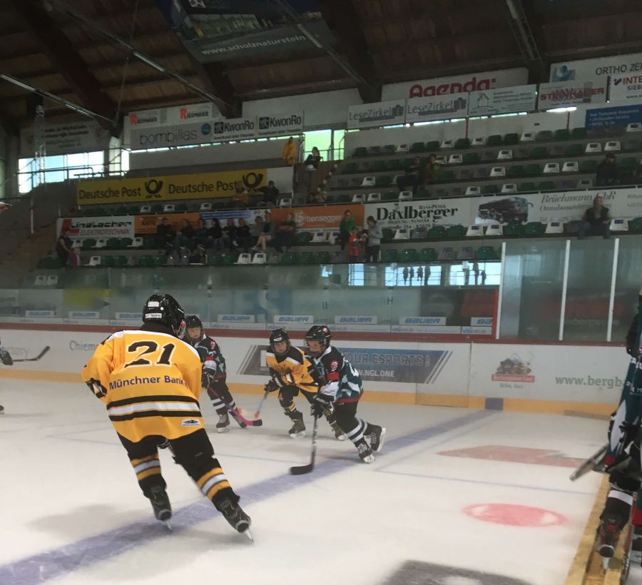 STAR BULLS Knaben weiter ungeschlagen