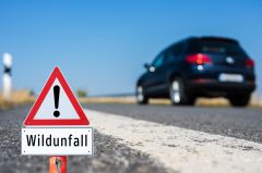 Betrunkener Autofahrer verursacht Unfall flüchtet 