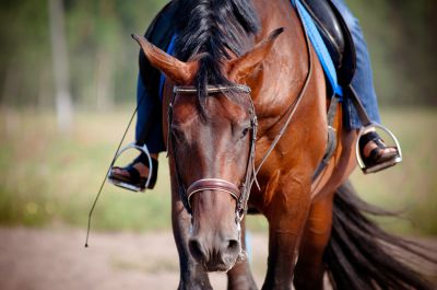 STEPHANKIRCHEN Schwerer Reitunfall