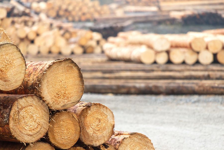 Riedering Camper wärmen sich mit gestohlenem Holz