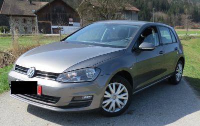 Pidinger Grenzpolizisten stellen entwendetes Fahrz