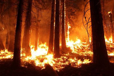 Rosenheim und Umgebung Daxenfeuer verboten