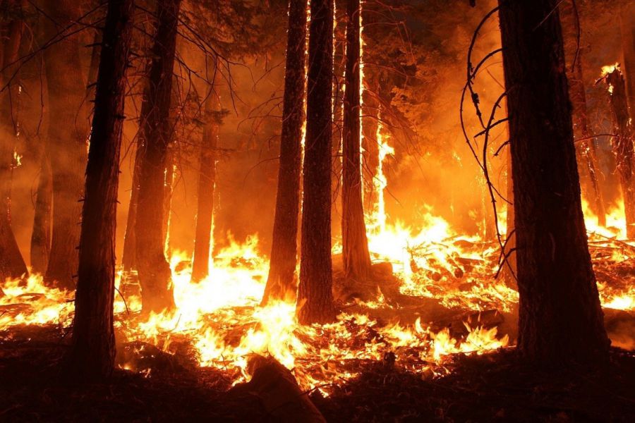 Rosenheim und Umgebung Daxenfeuer verboten