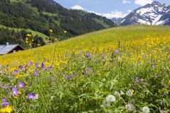 Bei Bergwanderung tödlich verunglückt