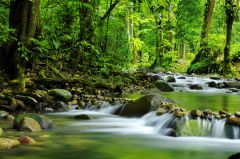 Aufhebung der Verfügung zur Chlorung der Trinkwass