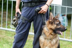 Randalierer Beamte angegriffen