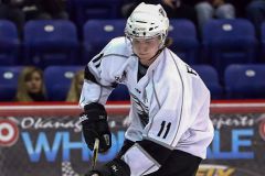 Starbulls verpflichten Stürmertalent Marvin Feigl