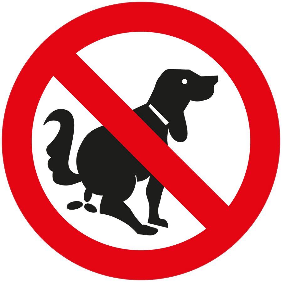 Hier kein Hundekloo