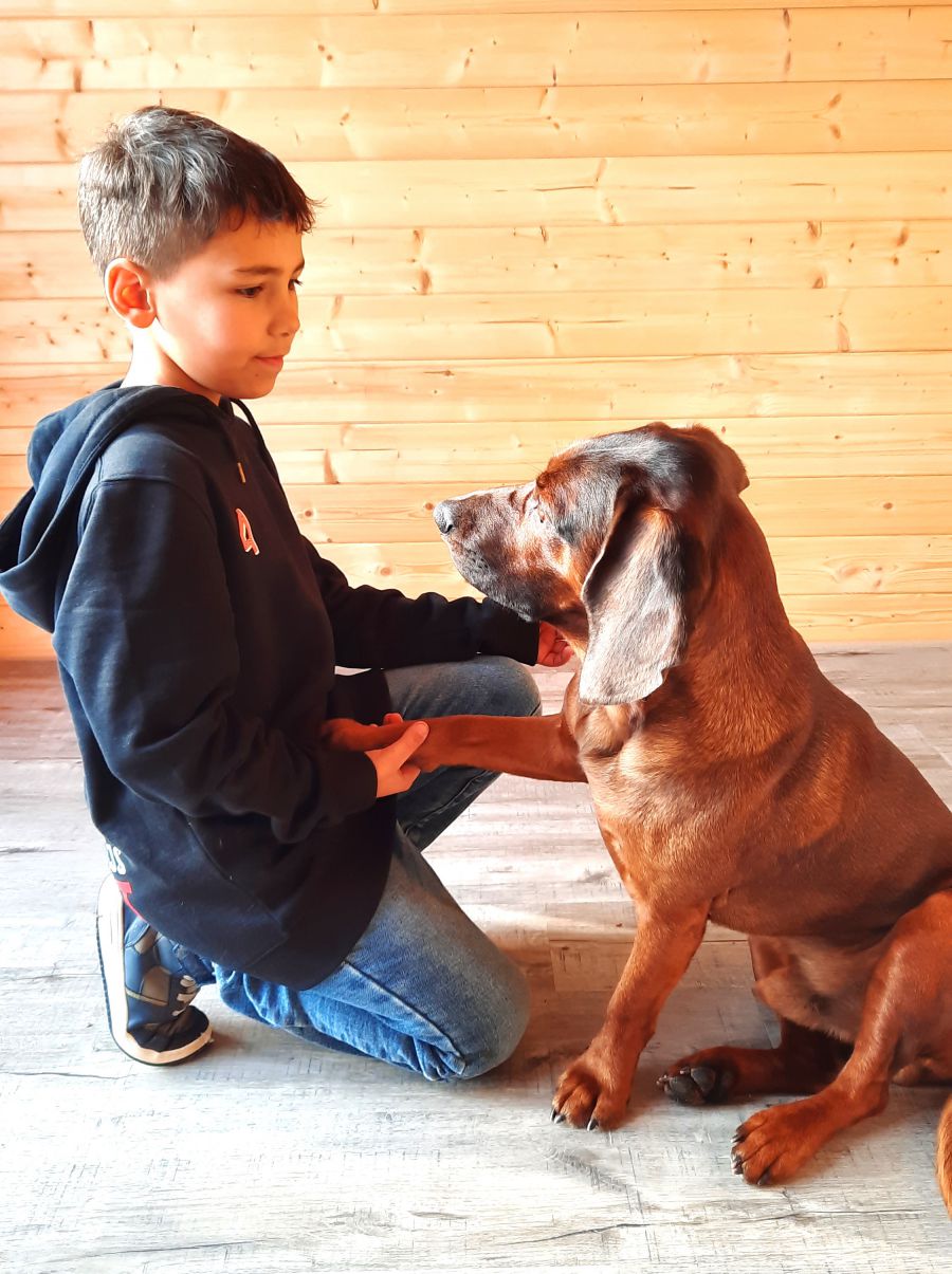 Therapiehund Xaver