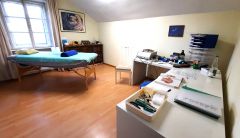 Therapiehund Xaver in Aktion Behandlung mit Therap