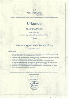 Schmerzbehandlung mit Matrix Rhythmustherapie Rose