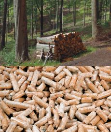 Holz und Pellets