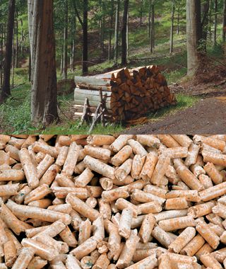 Holz und Pellets