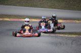 Kart Verin