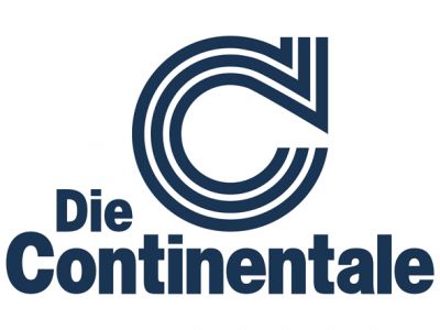 Gitarre spielende Pädagogin oder Modellflugzeug be