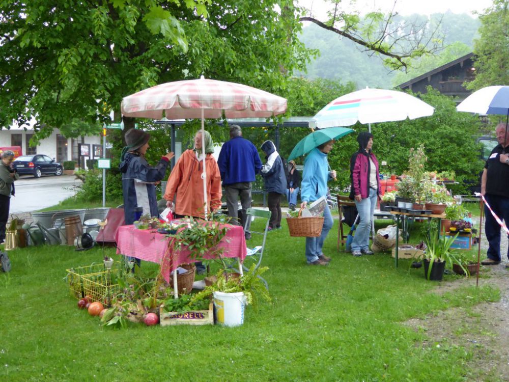 Pflanzenflohmarkt