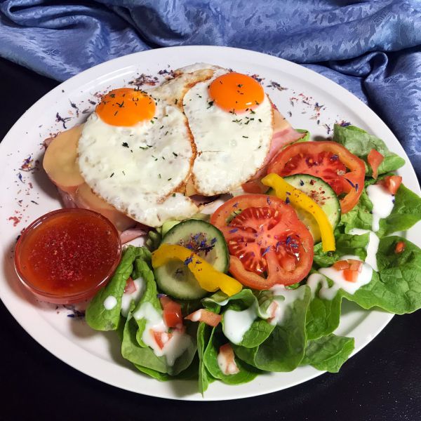 Chaos Toast Unser Liebling ?