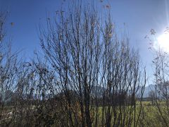 Jugendhilfe in Rosenheim Raubling Starke Unterstüt