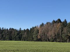 Anonyme Beratung in Raubling Diskrete Hilfe in sch