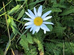 Psychologische Hilfe Jugendliche Unterstützung in 