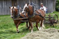 Samerberger Nachrichten Foto Impressionen Brauchtu