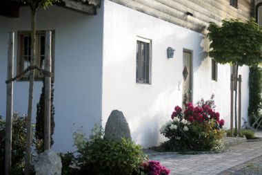 grün Pflanzen sind lebendig