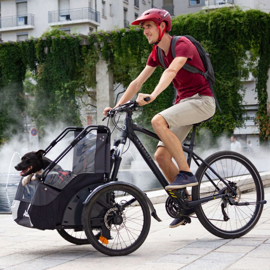 Fahrspaß auch für ihren Vierbeiner
