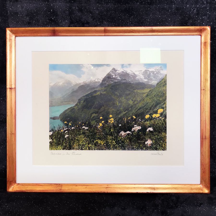 Bergwiese in der Schweiz