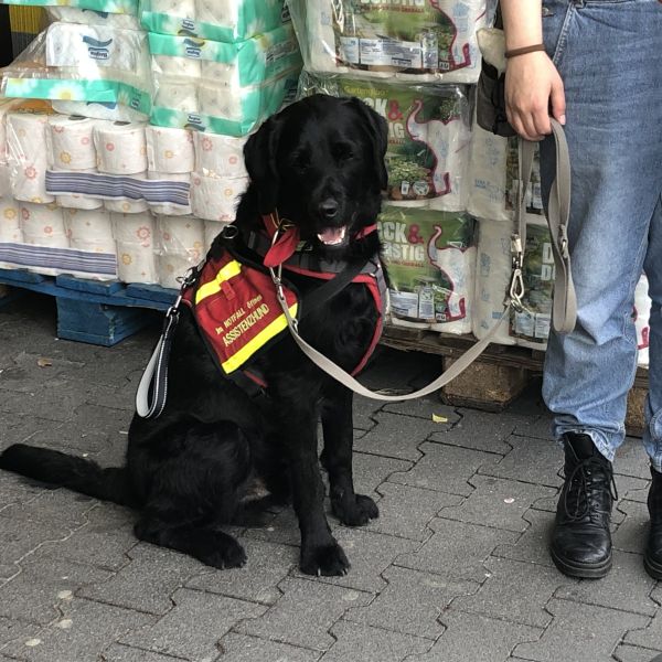 1 2 Tagesworkshop Sonntag 25 04 26 von 10 Uhr bis 