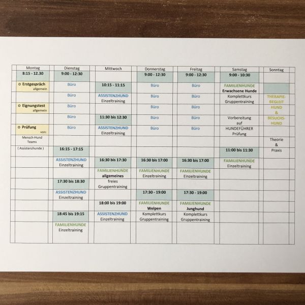 Übersicht Wochenplan für Buchungen Hundetraining K