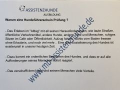 Hundeführerschein Prüfung in Rosenheim Jetzt anmel
