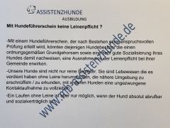 Leinenpflicht Gemeinde Hundeführerschein macht es 