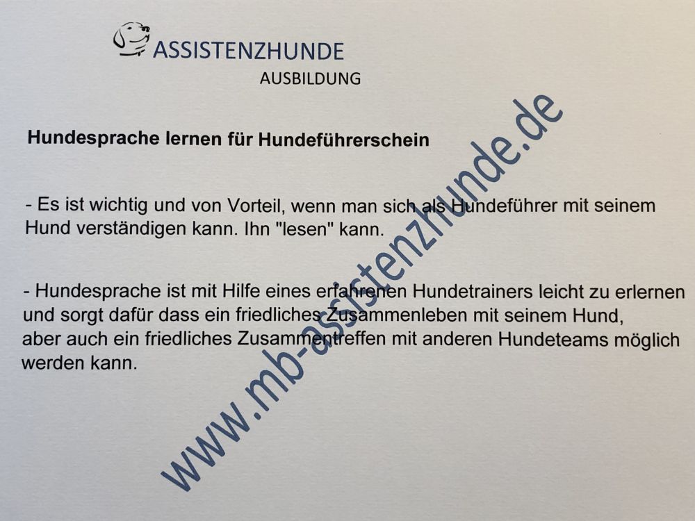 hundesprache-verstehen-schlussel-zum-hundefuhrerschein